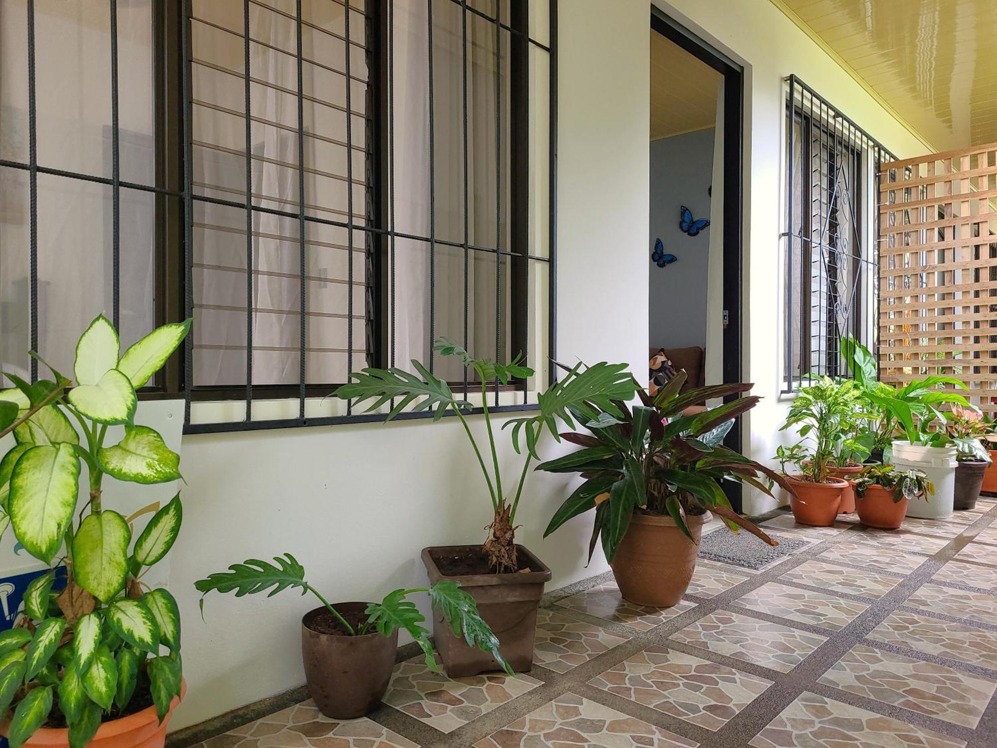 Butterfly Apartments La Fortuna Dış mekan fotoğraf