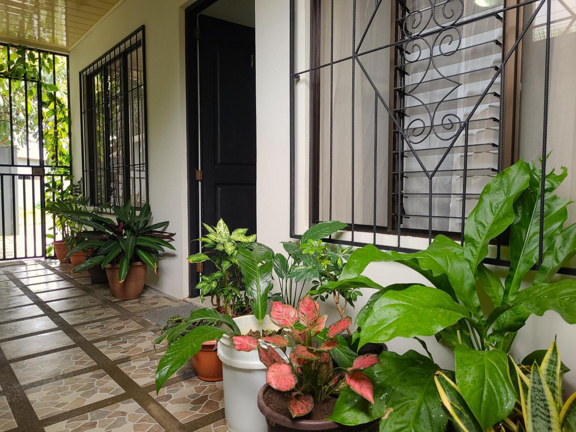 Butterfly Apartments La Fortuna Dış mekan fotoğraf